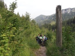 2014 Almwanderung